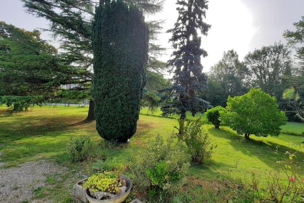 La Maison De Lili Colayrac-Saint-Cirq Exterior foto